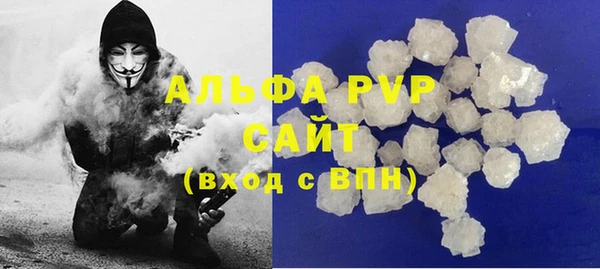 прущие грибы Нефтекумск