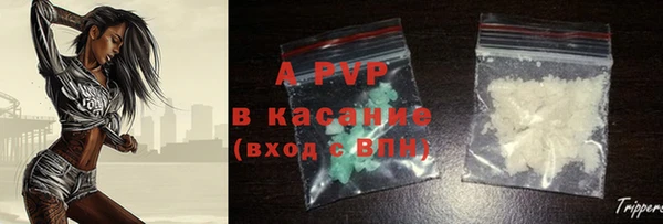 прущие грибы Нефтекумск