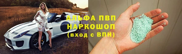 прущие грибы Нефтекумск