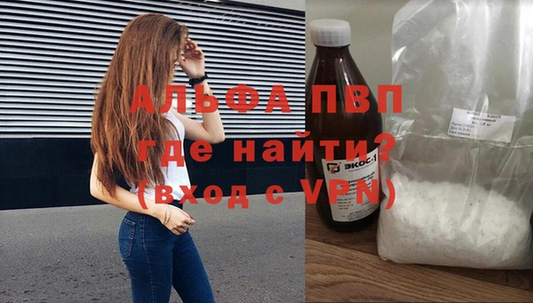 прущие грибы Нефтекумск