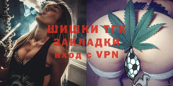 прущие грибы Нефтекумск