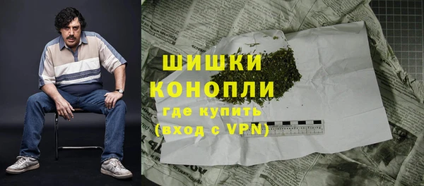 прущие грибы Нефтекумск