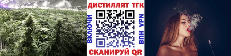Купить где Гдов ТГК гашишное масло
