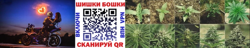 МАРИХУАНА гибрид  Купить закладки  Гдов 
